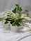 QTY 1 Potted Faux Plant with White and Gray glass pot MSRP: 15.00