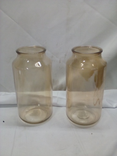 2 Large Glass Vases