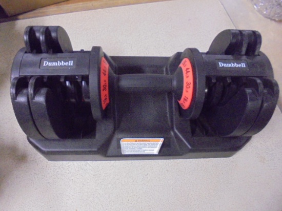Adjustable Dumbbell Set