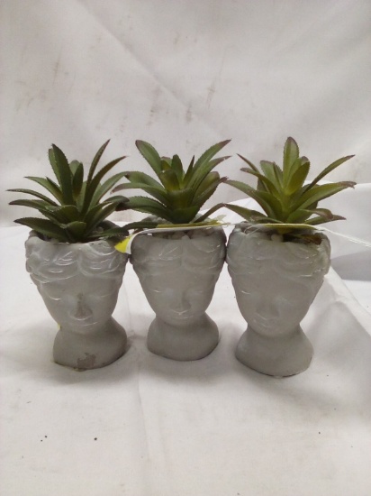 Qty 3 Faux Succulents 3” Cement Face Vase