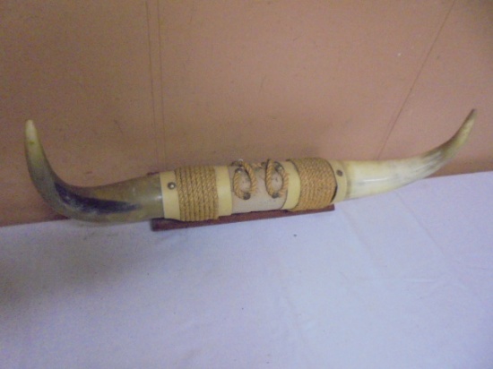 Set of Mounted Steer Horns