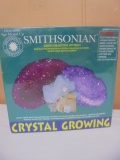 Smithsonian Crystal Growing Kit