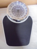 Set of Slater Professional UP To 350lb Scales