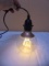 Edison Hanging Globe Bulb