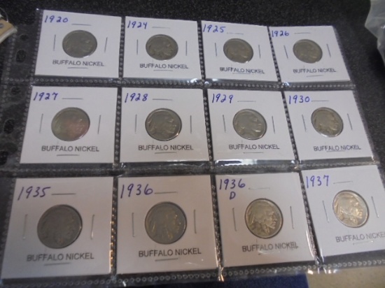 Group of 12 Assorted Date Buffalo Nickels