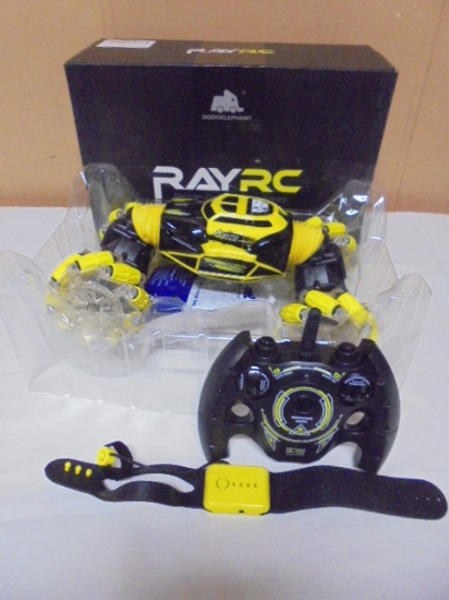 Ray RC ATV Quad Frenzy RC Car