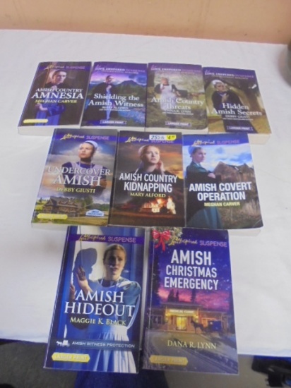 Group of Amish Novel