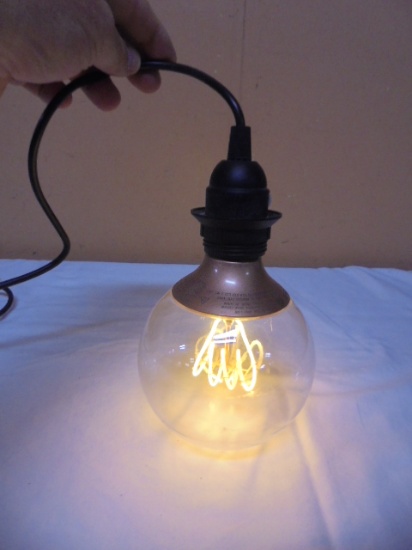 Edison Hanging Globe Bulb
