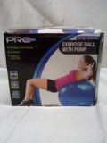 24” Diameter Exercise Ball With Pump