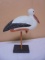Wooden Shorebird Décor Piece
