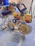 Schwinn DX 900 Exercise Bike