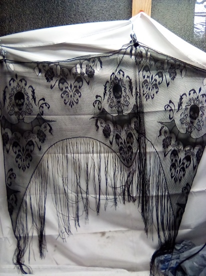 Skull and Bat Curtain Panels Qty 2 Panels