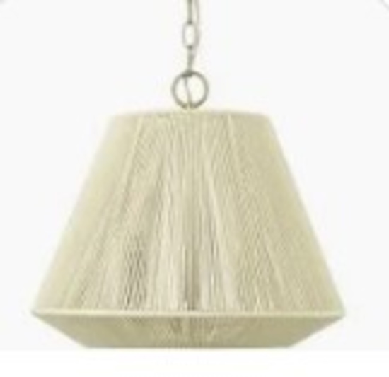 Millennium Lighting Light 16” Wide Pendant