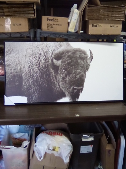 Buffalo Canvas Wall Art 47” x 24”