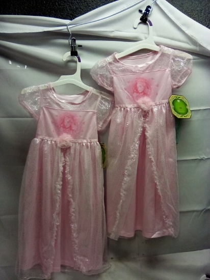 Wicked Dress-up Gowns Size 2T Qty 2