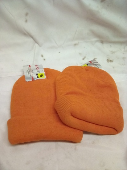 TEL Insulated Thermal Cuffed Beanie Qty 2