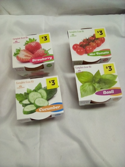 Complete Grow Kits with Clay Pot (Strawberry, Tomato, Cucumber & Basil)