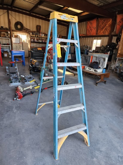 Werner  6' Ladder W/ Furniture Dollie