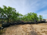 Assorted Tires