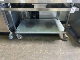 48 in. x 30 in. Stainless Steel Top Equipment Stand