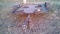 Utility Trailer 9' x 6'