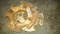Allis Chalmers Rear Weights