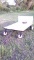 Garden Trailer