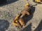 DANHOUSER POSTHOLE DIGGER