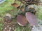 2X DISC PLOW