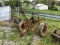 PULL TYPE 2X PLOW