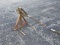 3PT BALE SPEAR