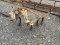 1 ROW CULTIVATOR