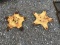 (2) NH RAKE STARS - BOTH ONE PRICE