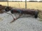 8FT LIME SPREADER
