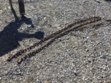 LOG CHAIN