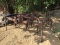 9 SHANK IH CHISEL PLOW