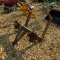 2 SHANK FORD RIPPER