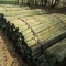 APPROX (100) 3'' X 7' TREATED FENCE POST