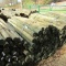 APPROX (100) 3'' X 7' TREATED FENCE POST
