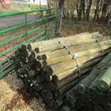 APPROX (100) 3'' X 7' TREATED FENCE POST
