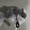 NEW BOAT ANCHOR