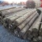 APPROX (24) 7'' X 8' TREATED FENCE POST - ALL ONE PRICE