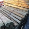 APPROX (100) 3'' X 7' TREATED FENCE POST - ALL ONE PRICE