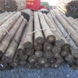 APPROX (24) 7'' X 8' TREATED FENCE POST - ALL ONE PRICE