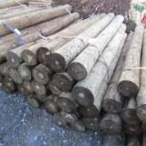 APPROX (24) 7'' X 8' TREATED FENCE POST - ALL ONE PRICE