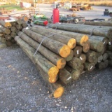 APPROX (24) 7'' X 8' TREATED FENCE POST - ALL ONE PRICE