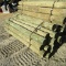 APPROX (24) 7'' X 8' TREATED FENCE POST