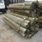 APPROX (24) 7'' X 8' TREATED FENCE POST