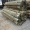 APPROX (24) 7'' X 8' TREATED FENCE POST