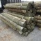 APPROX (24) 7'' X 8' TREATED FENCE POST